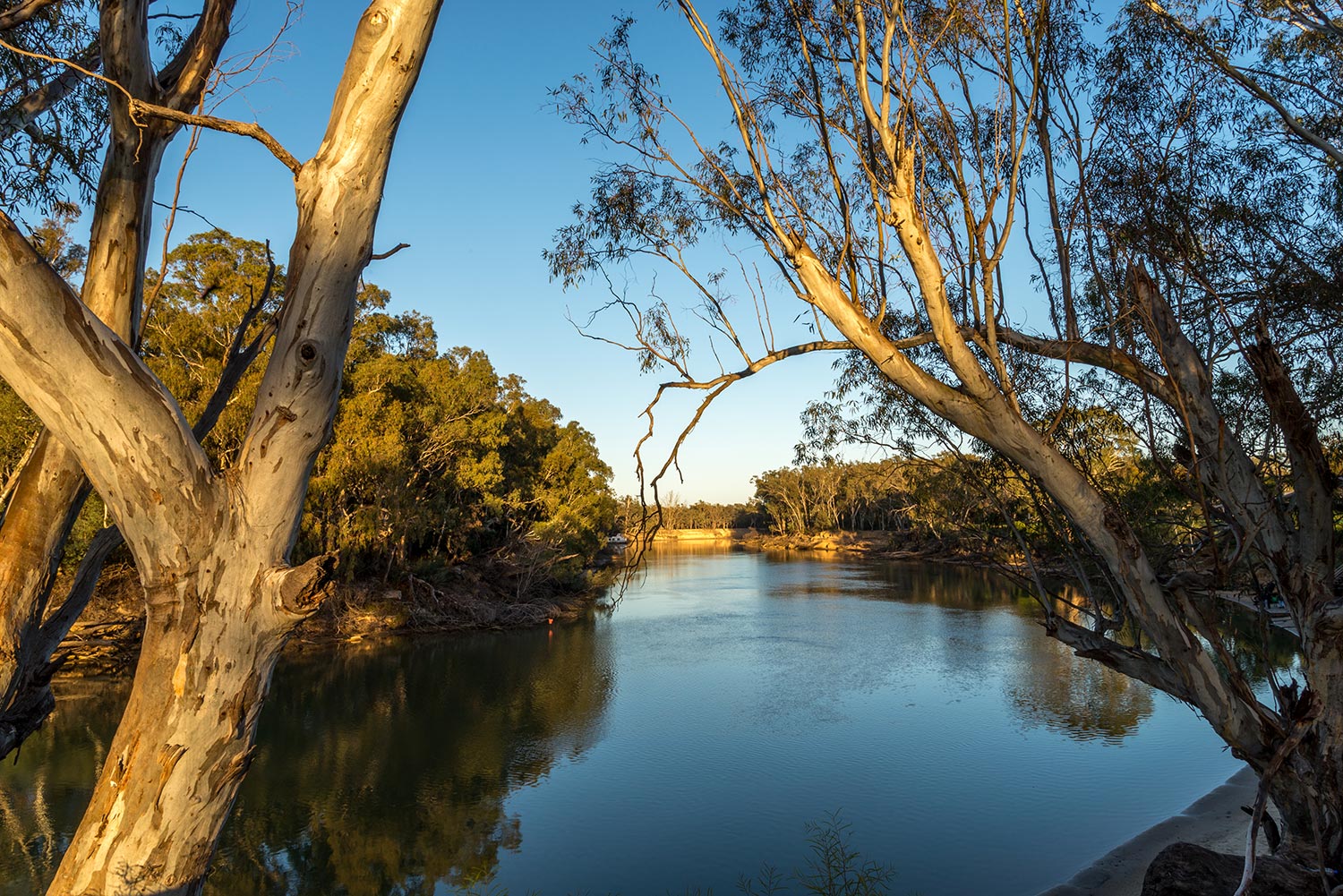 River landscape with Australian gum trees representing stormwater diversion and trade waste treatment systems trusted worldwide